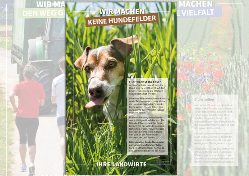 Landwirte fordern: Hunde gehören nicht auf den Acker