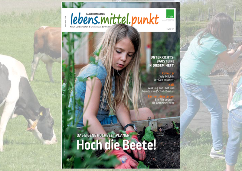 „Superkühe“, Hochbeete und weitere Höhepunkte