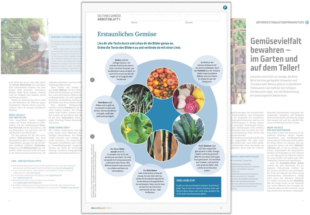 Bunte Sommerfreuden: Gemüse einmal anders entdecken