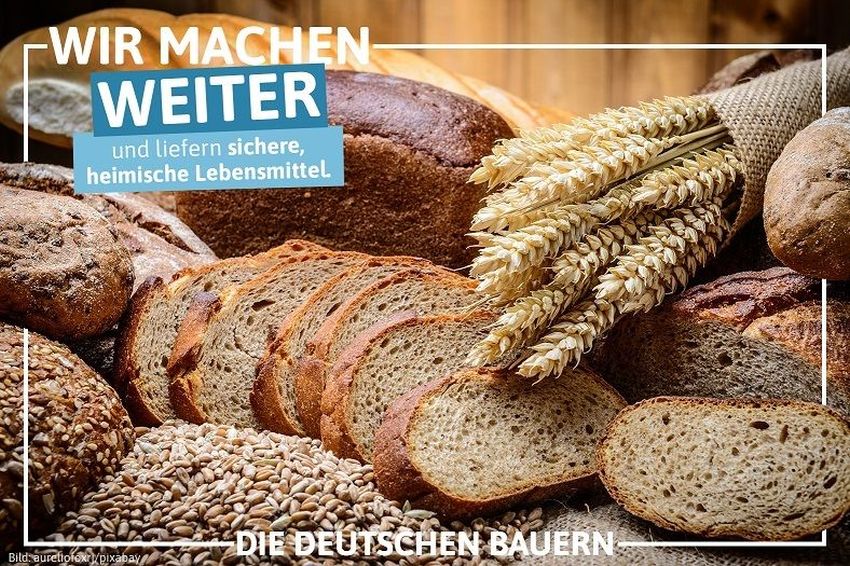 Zum "Tag des Brotes" Getreide selbst anbauen