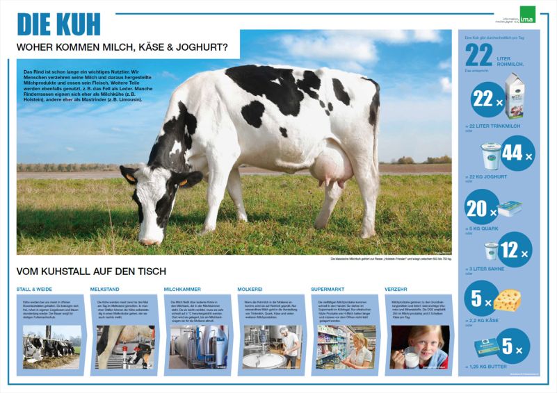Wissenswertes zum Internationalen Tag der Milch
