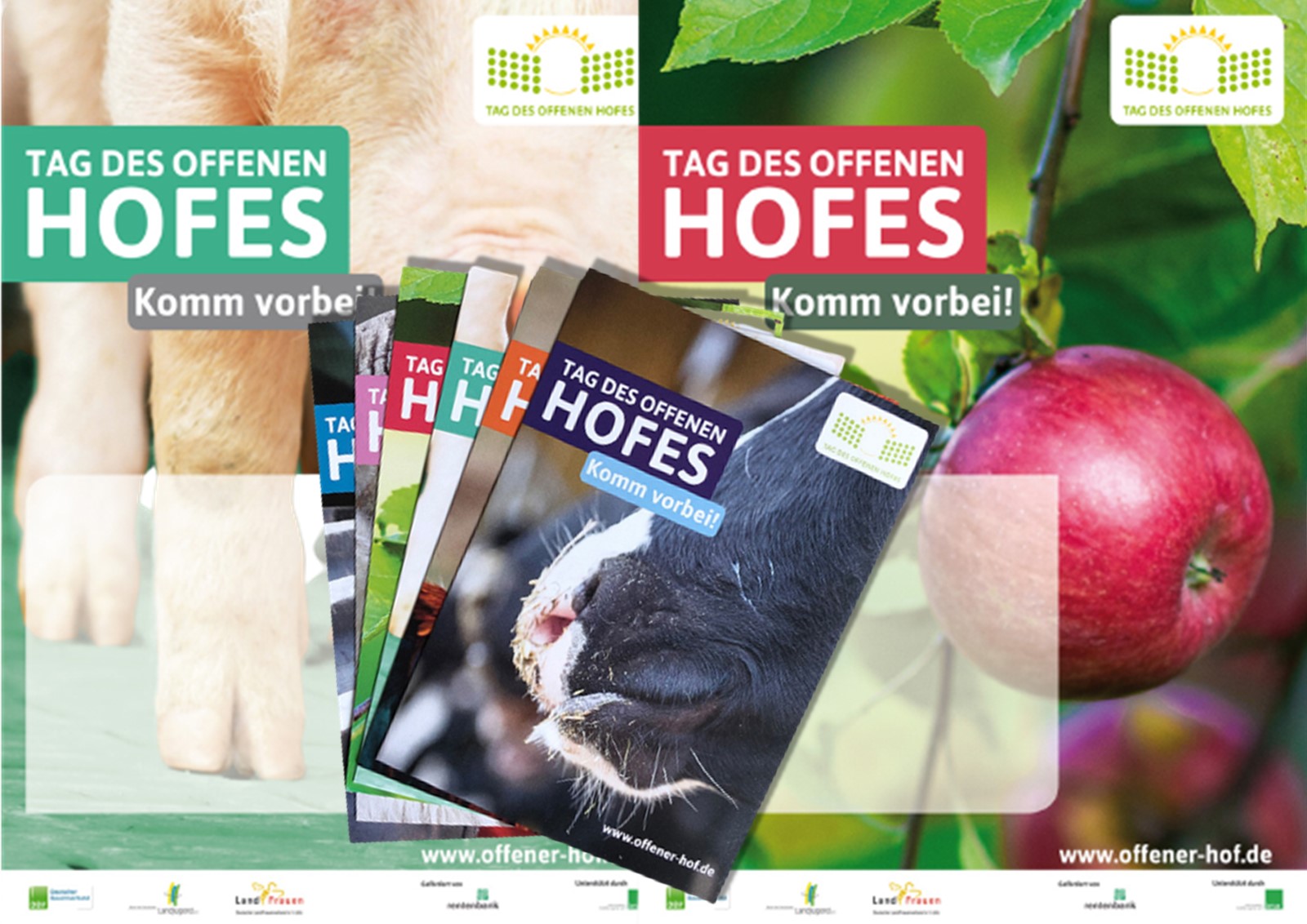 Viel mehr als nur ein "Tag des offenen Hofes"