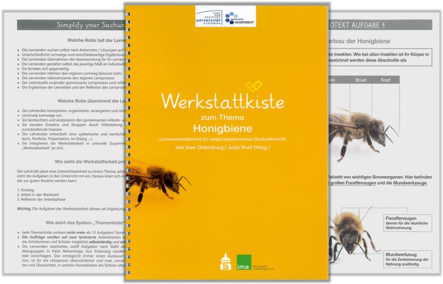 Sachunterricht mit der Werkstattkiste lebendig gestalten 