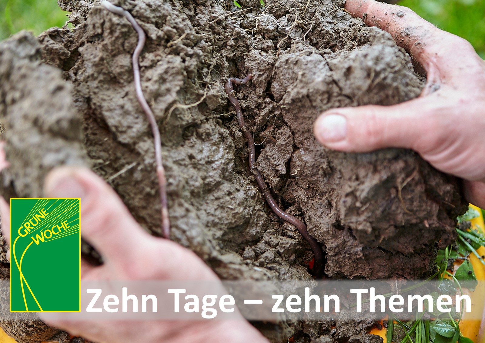 Grüne Woche 2022, Tag 5: Von Grund auf betrachtet