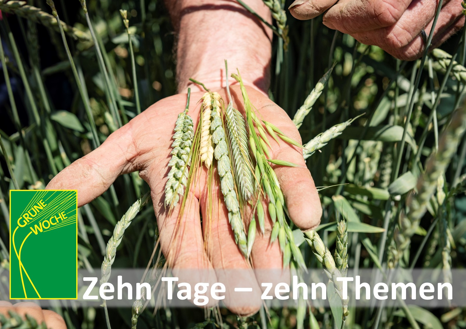 Grüne Woche 2022, Tag 9: Aufs Korn genommen 