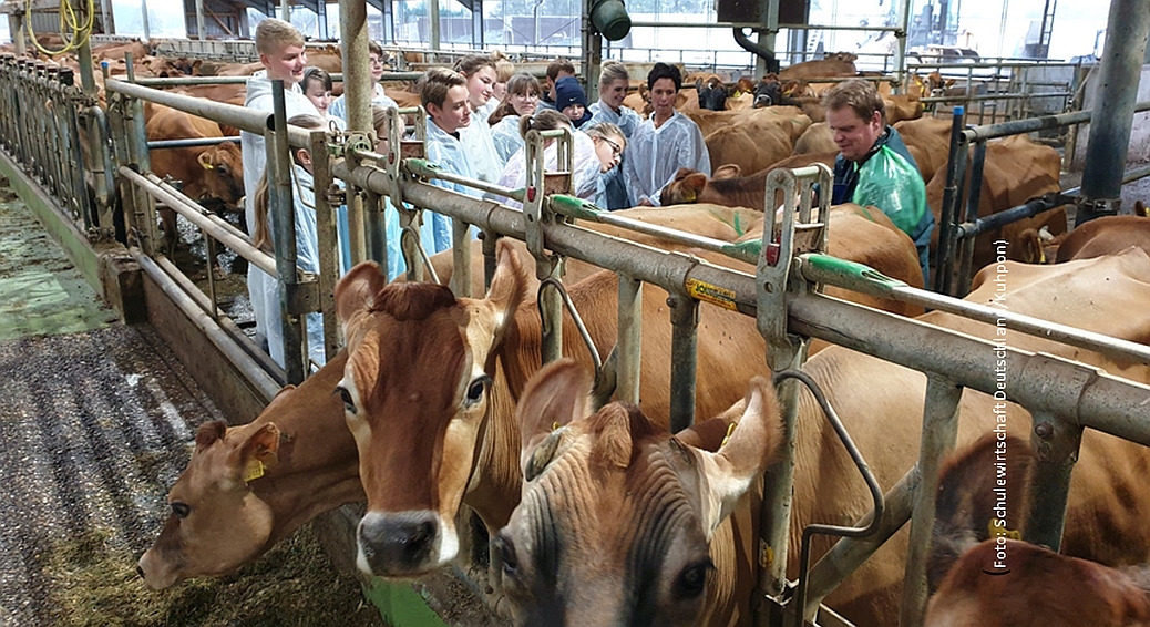 Landwirtschaftliche Innovationen gewinnen Wettbewerb 