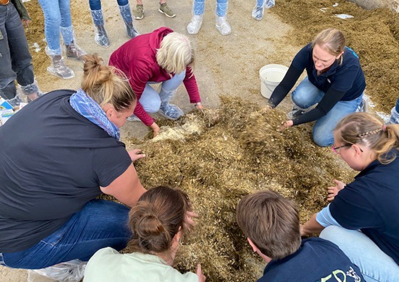 Lehrkräfte hocken um Tierfutter herum, das sie anfassen.