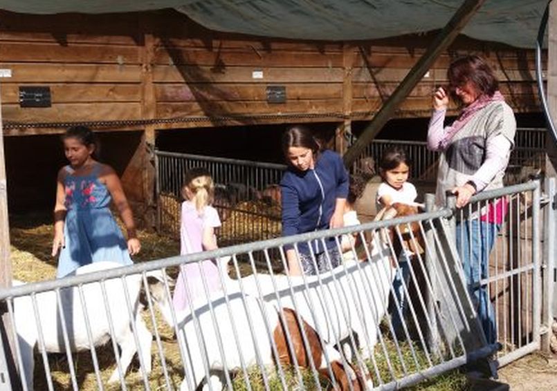 Außerschulische Lernorte sind unverzichtbare Bildungsangebote