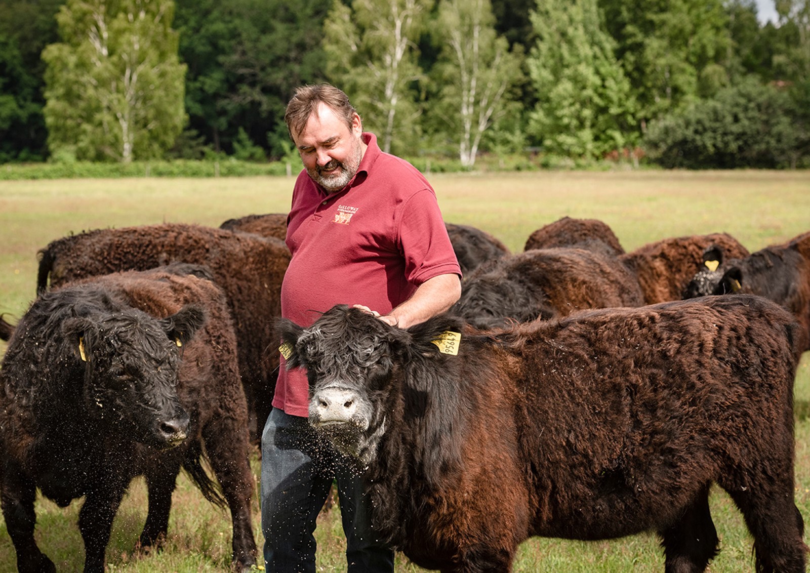 Wo gutmütige Riesen Landschaftpflege leisten