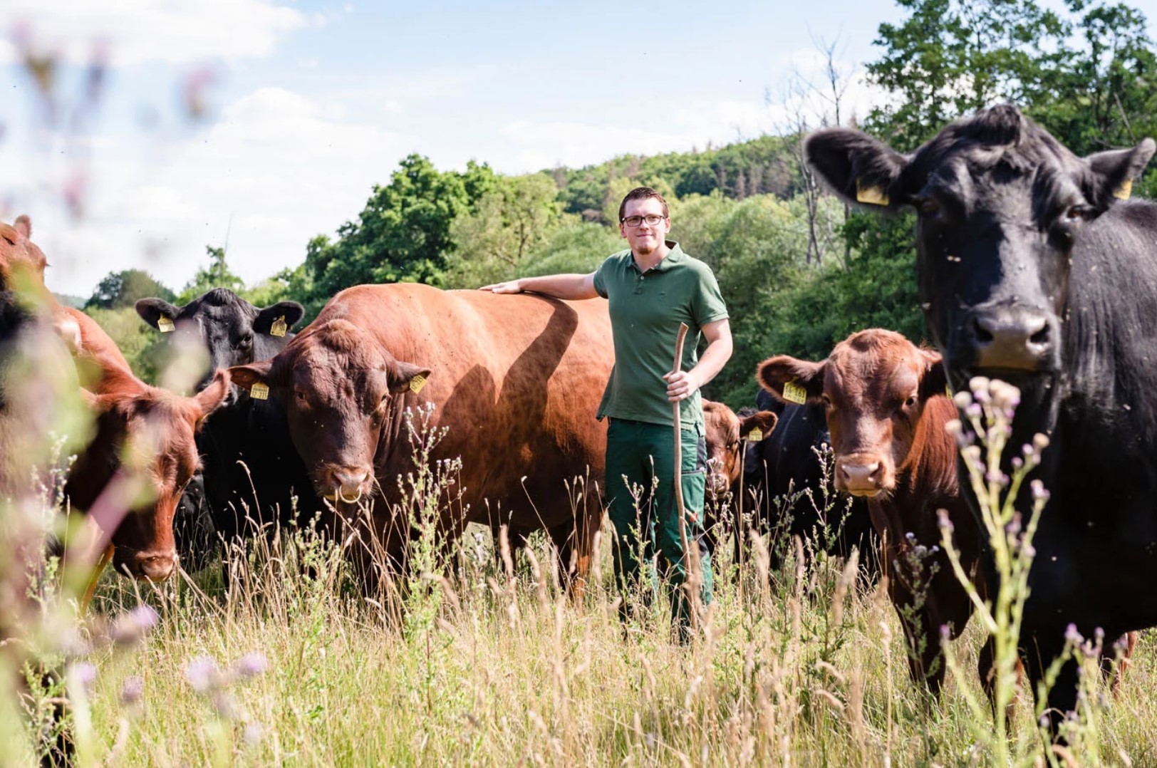 Tierhaltung trifft Leidenschaft auf dem Hof Eselsmühle