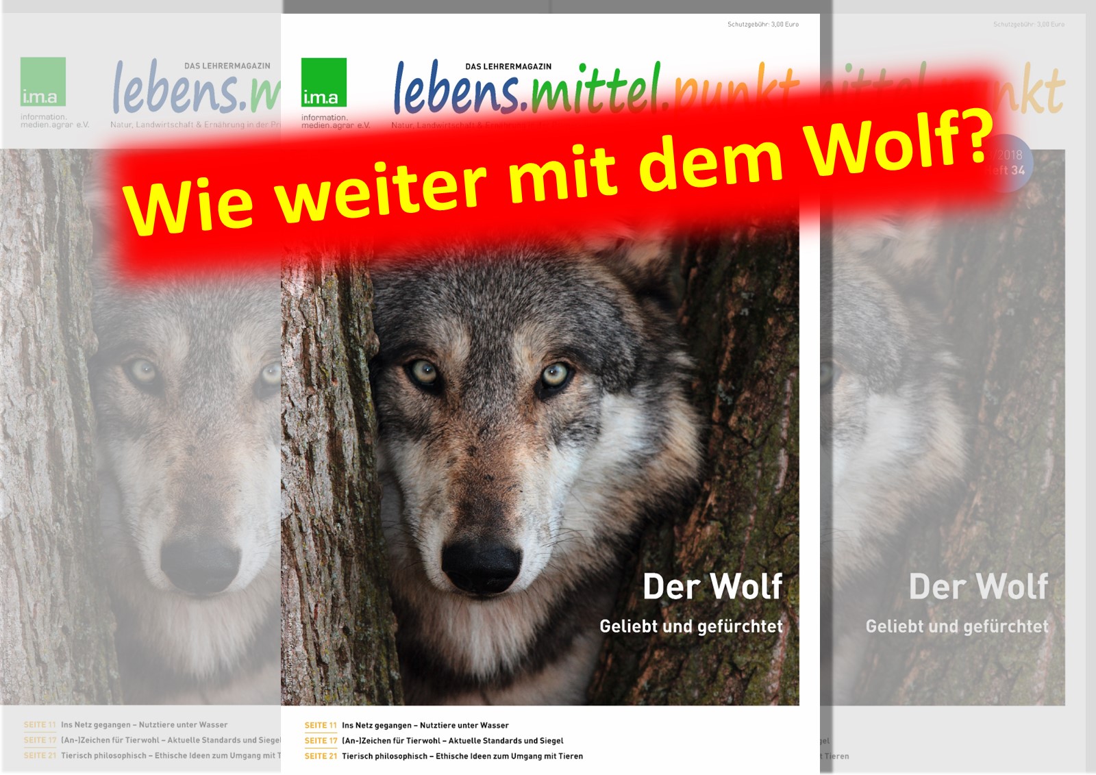 Der Wolf und die (mehr als) sieben jungen Geißlein