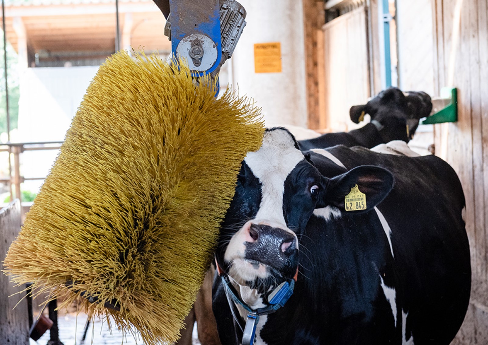 Hof am Teich: Tierhaltung mit viel Liebe zum Detail