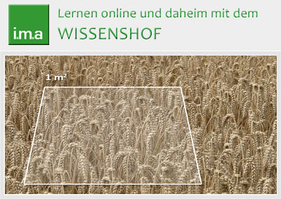 Mehr als eine Rechenaufgabe: Wie viel Getreide wächst hier?