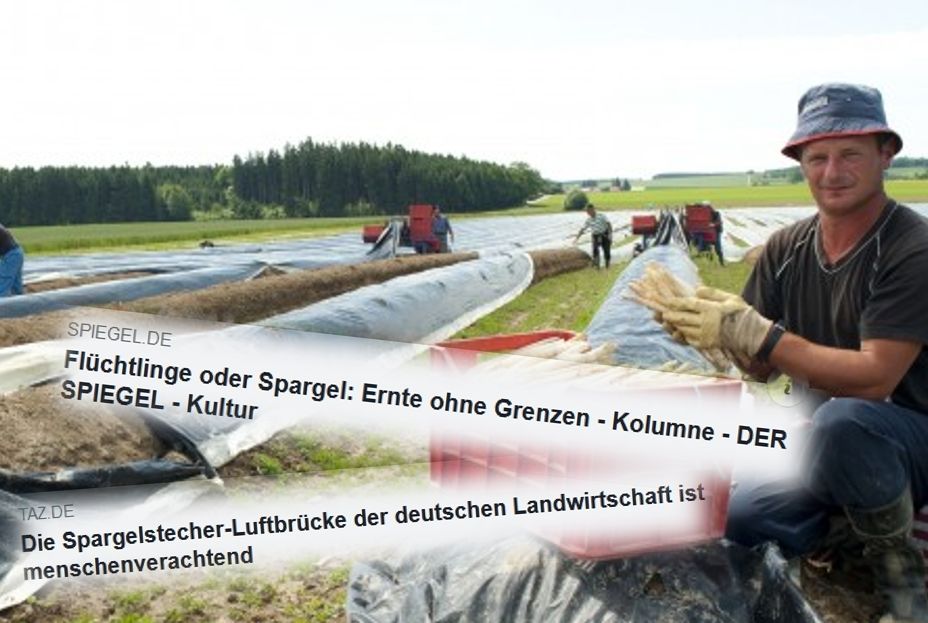 Warum Erntehelfer für unsere Ernährung so wichtig sind