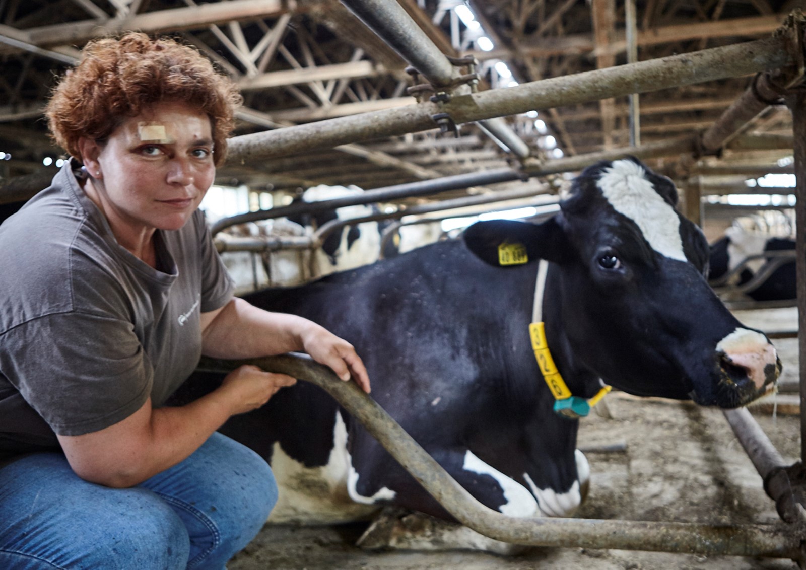 i.m.a e.V. zeigt die Vielfalt der deutschen Landwirtschaft