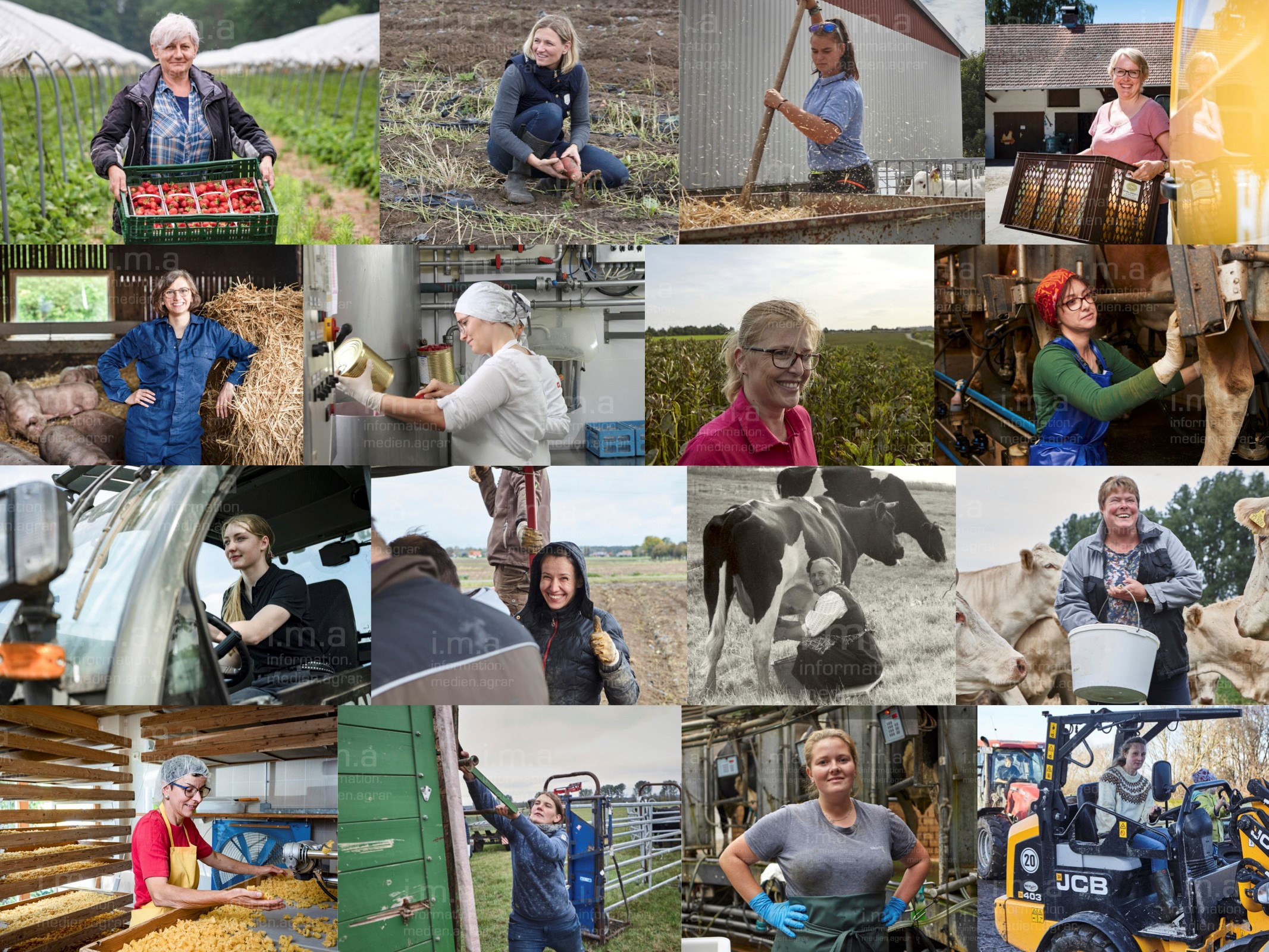 Frauen in der Landwirtschaft - ein Spiegelbild der Gesellschaft