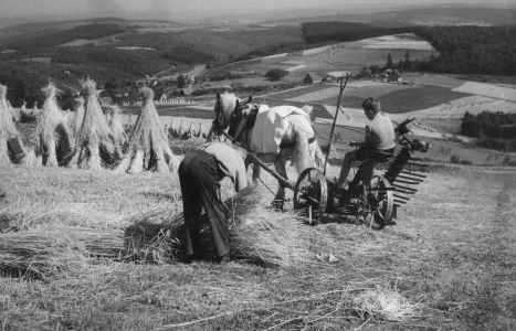 balkenmaeher mit pferd siegerland