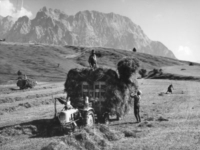 heuernte mit rechen und gabel vor bergmassiv