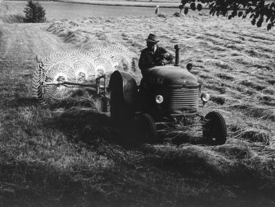 heuwenden mit altem traktor in steyermark