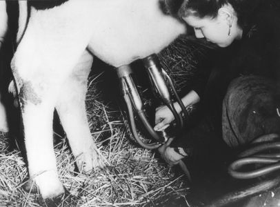 junge frau mit melkmaschine mpi