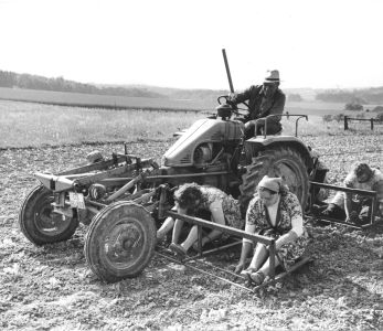 menschmaschinesystem vermutl kartoffelsetzen nr 463