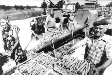 moehrendusche in zweikam 1977 Schiffer nr4235