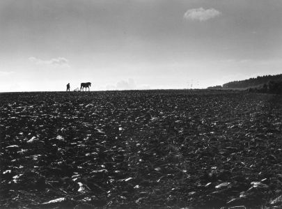 pflug mit bauer und pferd am horizont