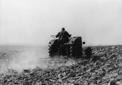 traktor von hinten beim eggen schiffer