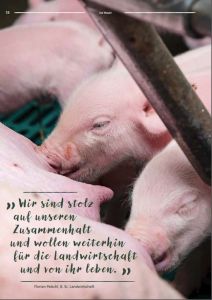aufmacher petschl