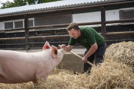 schweinehaltung bio jahnsfelder hof 9