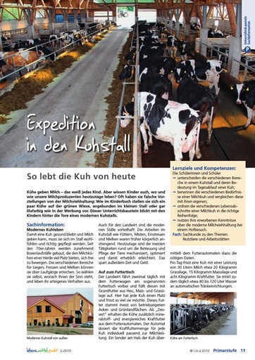 Expedition in den Kuhstall - So lebt die Kuh von heute