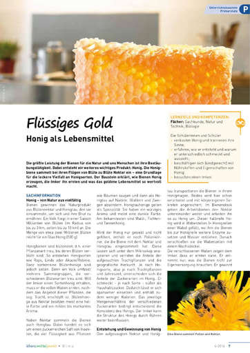 Flüssiges Gold - Honig als Lebensmittel