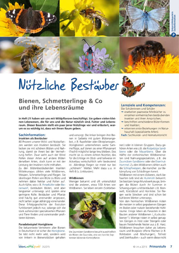 Nützliche Bestäuber - Bienen, Schmetterlinge & Co und ihre Lebensräume