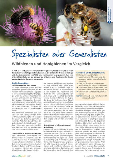 Spezialisten oder Generalisten. Wildbienen und Honigbienen im Vergleich