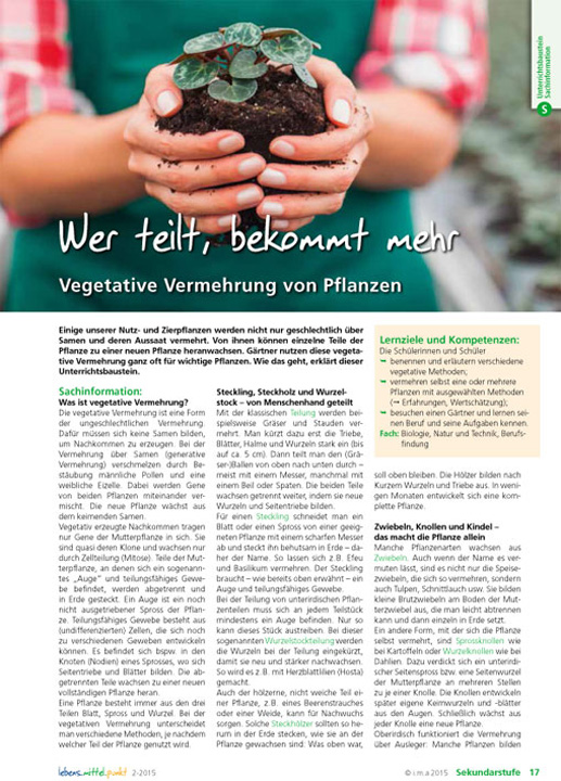 Wer teilt, bekommt mehr Vegetative Vermehrung von Pflanzen