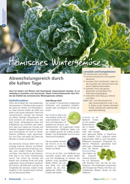 Heimisches Wintergemüse