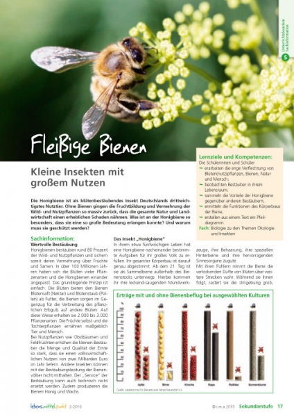 Fleißige Bienen