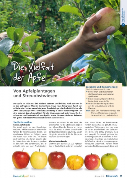 Die Vielfalt der Äpfel