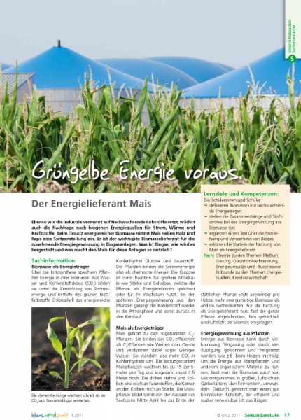 Grüngelbe Energie voraus