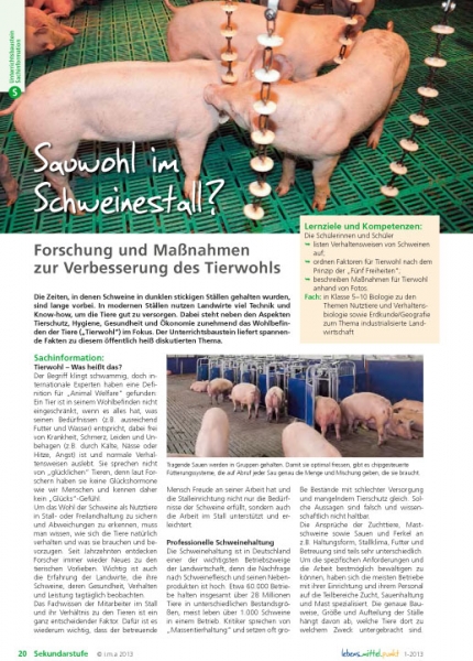 Sauwohl im Schweinestall?