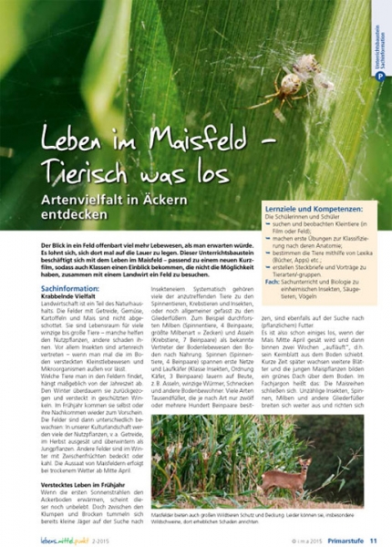 Leben im Maisfeld - Tierisch was los