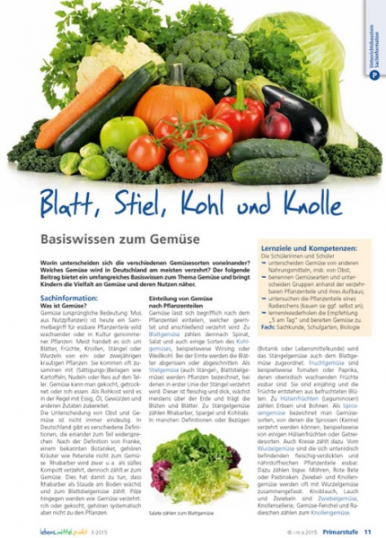 Blatt, Stiel, Kohl und Knolle