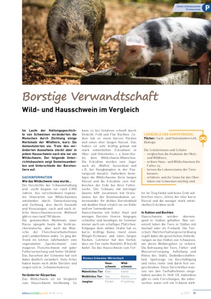 Borstige Verwandtschaft