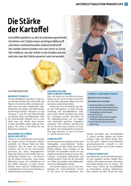 Die Stärke der Kartoffel