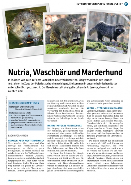 Nutria, Waschbär und Marderhund