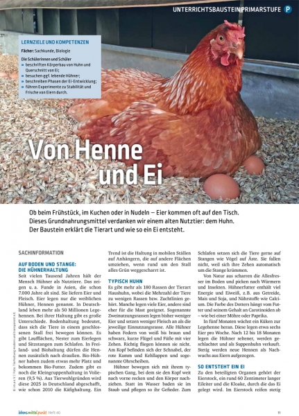 Von Henne und Ei