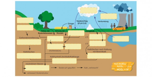Bodenchemie mit Kalk