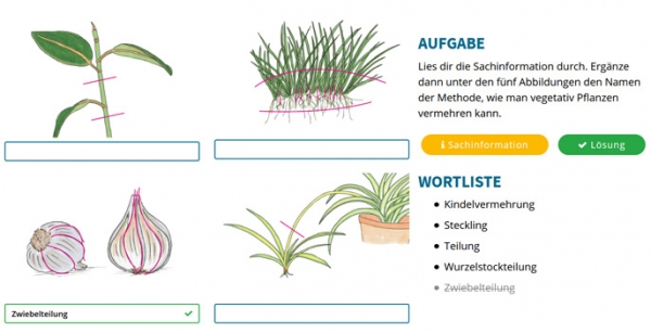 Wer teilt, bekommt mehr