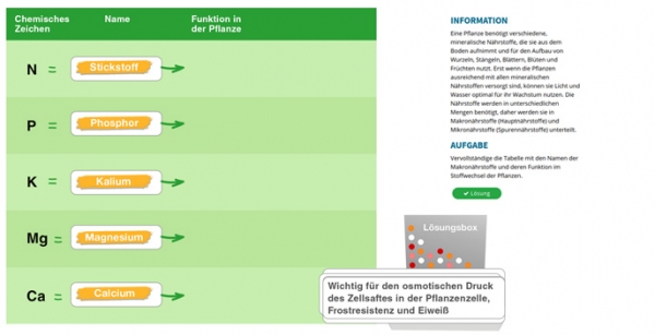 Bedeutung der Nährstoffe für Pflanzen 2