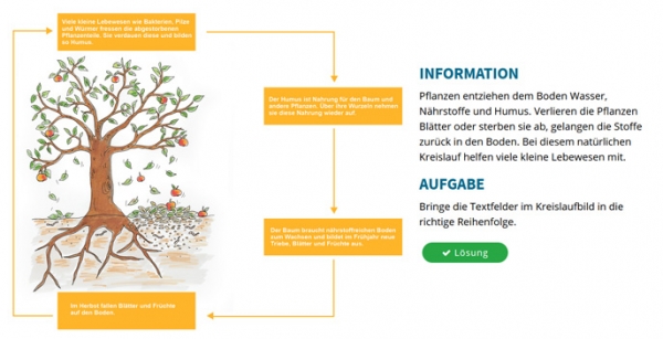 Komposthaufen und Biotonne - der Stoffkreislauf der Natur